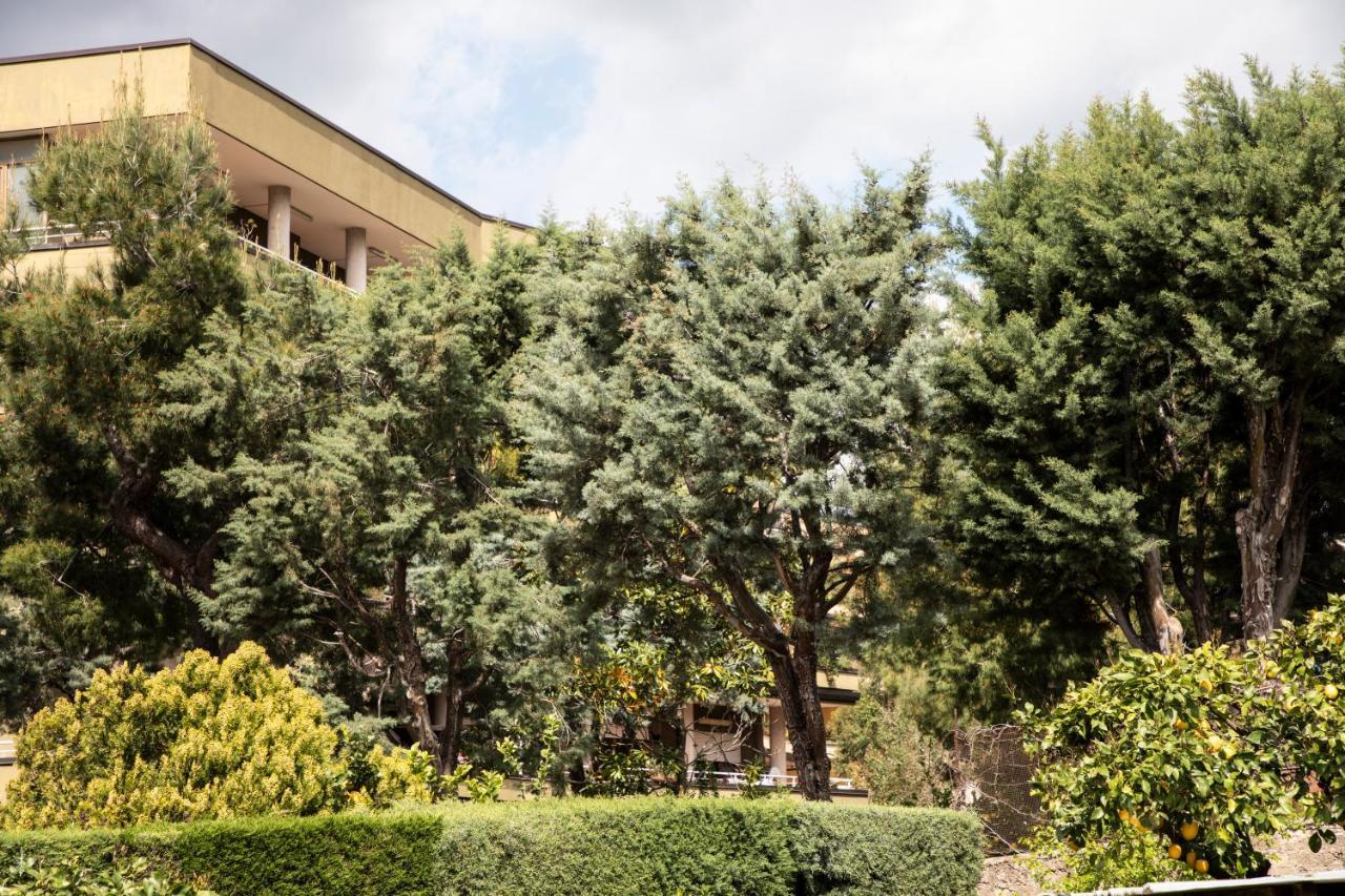 L' Albero Di Giada Bed and Breakfast Καζέρτα Εξωτερικό φωτογραφία