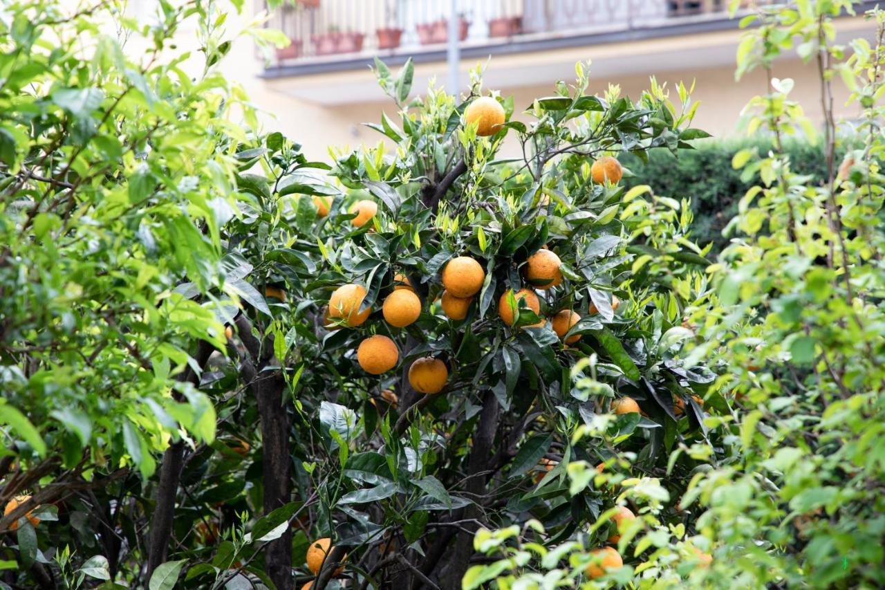 L' Albero Di Giada Bed and Breakfast Καζέρτα Εξωτερικό φωτογραφία