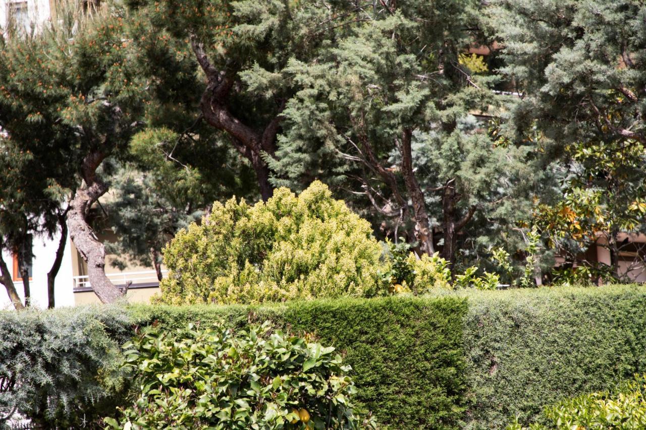 L' Albero Di Giada Bed and Breakfast Καζέρτα Εξωτερικό φωτογραφία